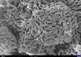 KakaoTalk_20251020_200506803